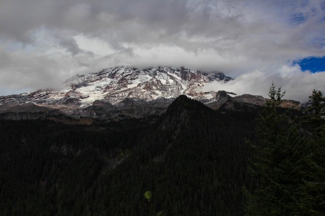 rainier