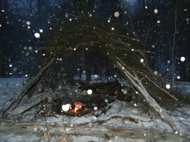 Winter bushcraft trip, and a start to a pine shelter. — Steemit