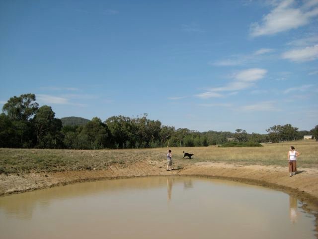 Our little dam, us and our Kelpie x