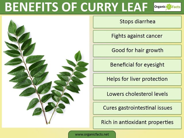 Curry leaves are not only good for flavor but are super healthy too
