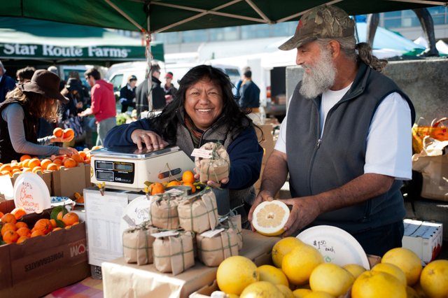 citrus guy