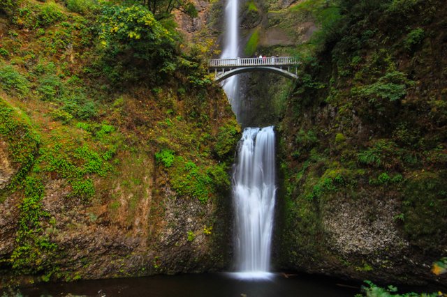 multnomahhalf