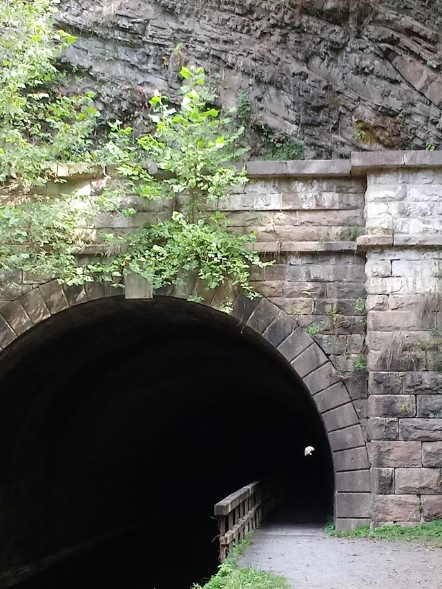 Paw Paw tunnel.jpg