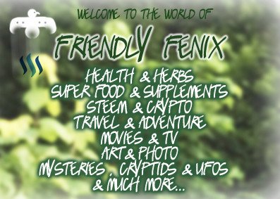 Friendly Fenix sign