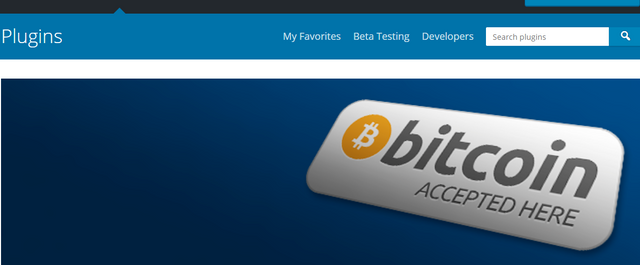 add bitcoin to my website