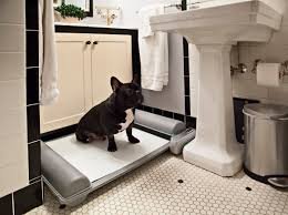 self cleaning dog litter box