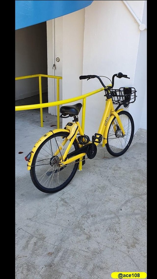 Personalized OFO to Life @ace108