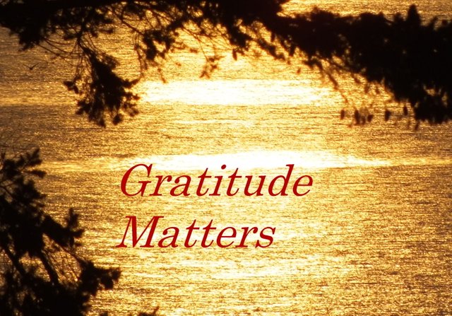 Gratitude