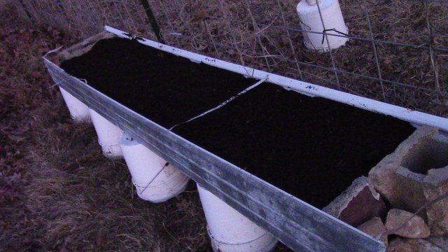 DIY RAISED STRAWBERRY BED — Steemit