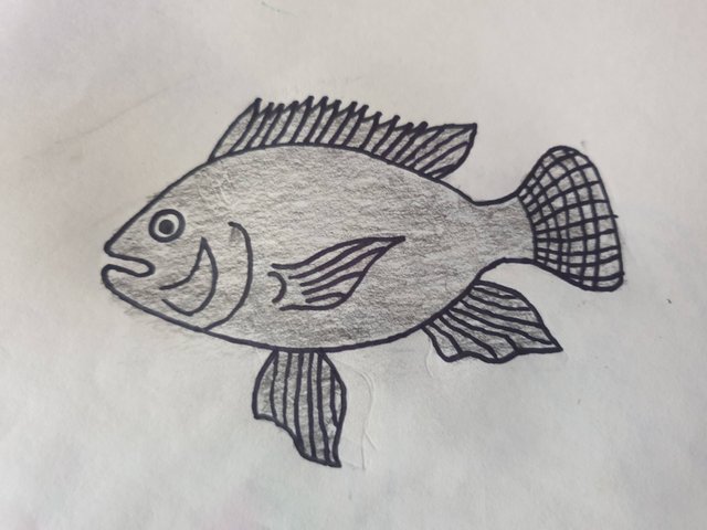 Tilapia Fish Cartoon Retro Drawing - Stock Illustration [58024908] - PIXTA