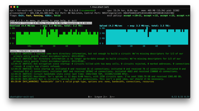 Screenshot of Nyx statistic for the exit node