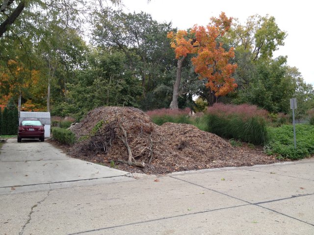 Mulch Pile