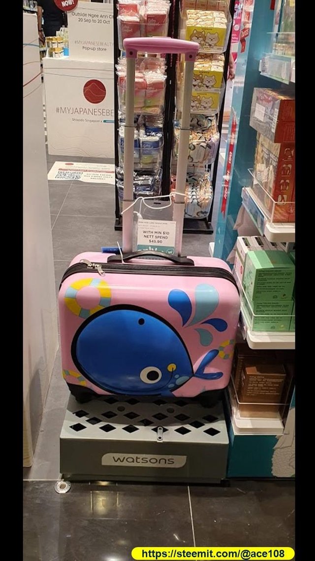 Whale luggage