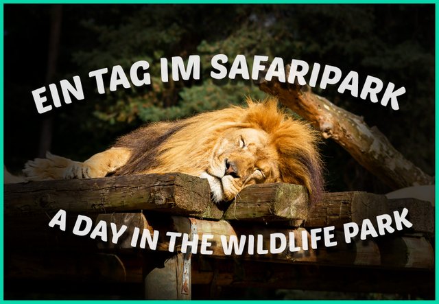 1-day-in-the-wildlife-park