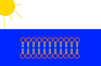 Lipid bilayer