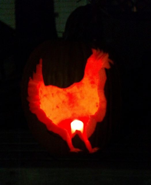 Chicken pumpkin