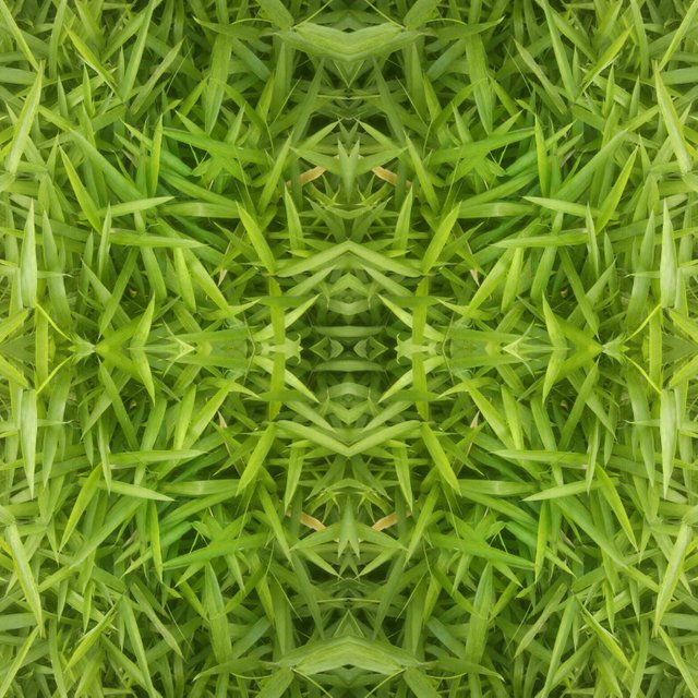 kvadrascope green