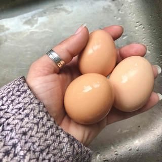 farmstead farmsteadsmith eggs chickeneggs