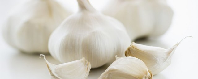 importance of garlic