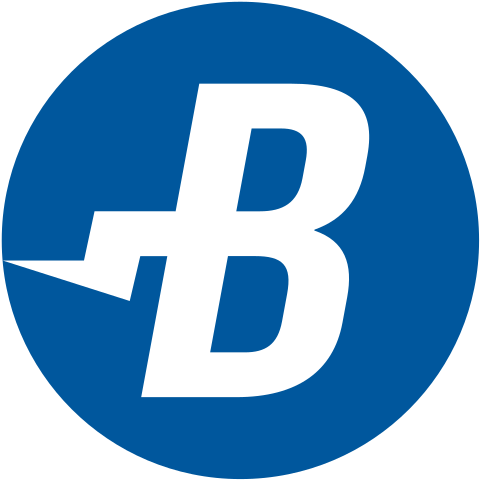 Burstcoin Logo