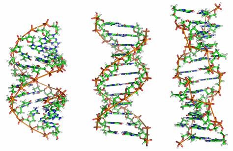 DNA - Stränge