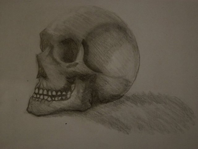 Skull Drawings In Pencil