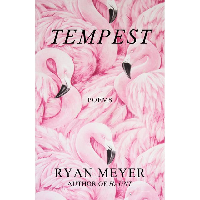 book cover for Tempest