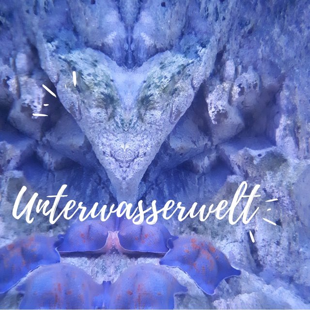 Unterwasserwelt