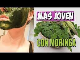 moringa cosmt