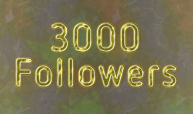 3000