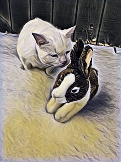 SnowCat & Rabbit.jpg