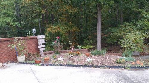 Flower Garden with Potted Tomato 2017-wide shot