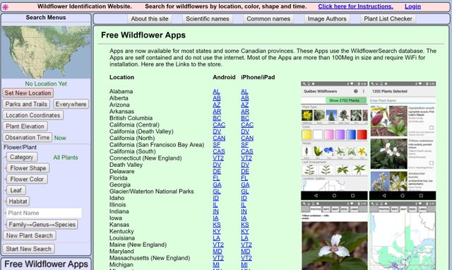 Wildflower Identification App | Best Flower Site