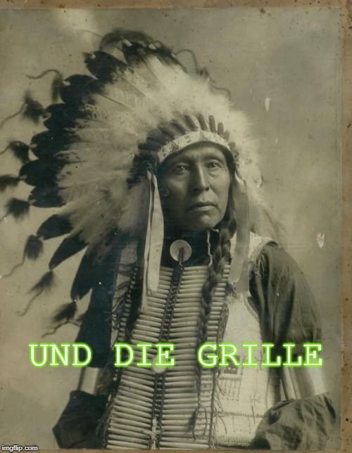 Der Indianer und die Grille