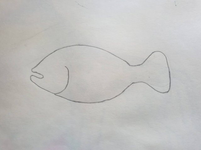 Fish Drawing Original Art Size A4