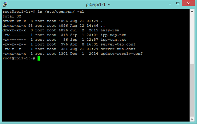 A screenshot of the OpenVPN server shell
