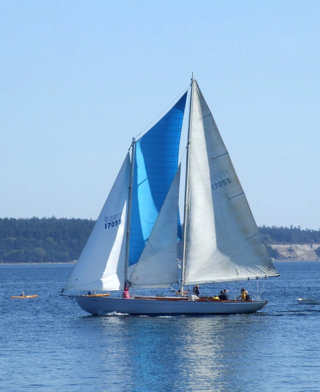 Sailboat