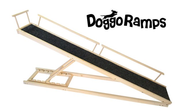 The best sale doggo ramp