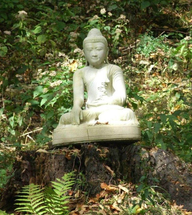 Buddha