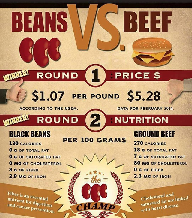 Beans Vs Beef Infographic