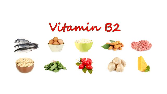 Eat Healthy Live Healthy Food Enriched In Vitamin B 2