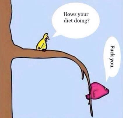 Diet