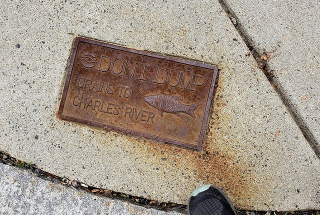 Don't dump down the storm runoff grate sign, cemented in the sidewalk.