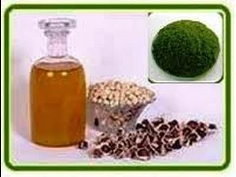 moringa productos