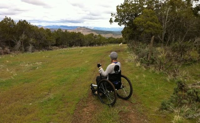 wheelchair-hiking-for-the-modern-adventurer-grit-freedom-chair.jpg