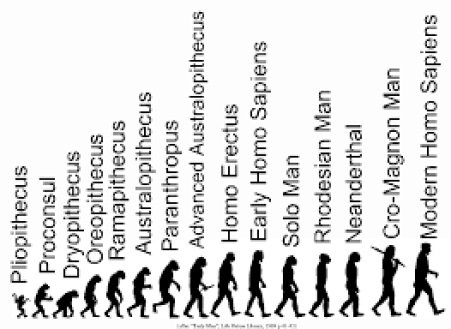 foto evolucion