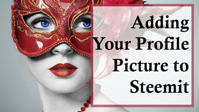 adding your profile picture to steemit