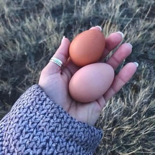 farmstead farmsteadsmith eggs