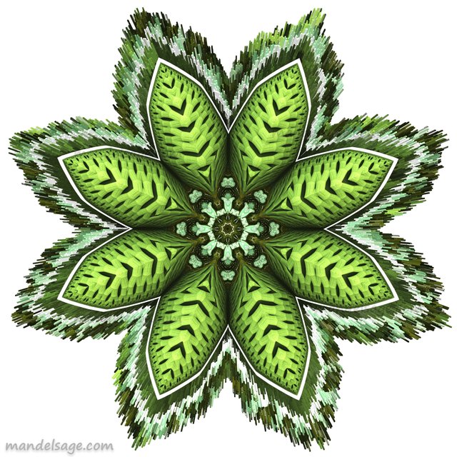 Leaf-Art by Jody V. Lawrence_aka_Mandelsage_designs