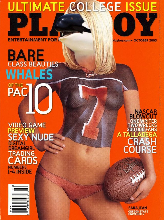 Lodge Udgravning kvalitet Whale Moss, Whale Alba and other Hot Whales in Top 10 PLAYBOY covers —  Steemit
